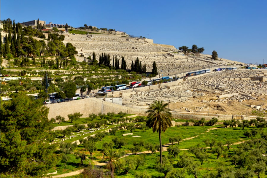 Buses on Mount of Olives, Jerusalem