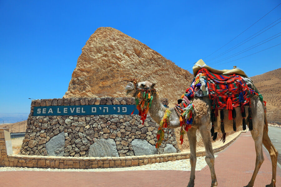 Camel riding at the sign indicating sea level near the Dead Sea, Israel