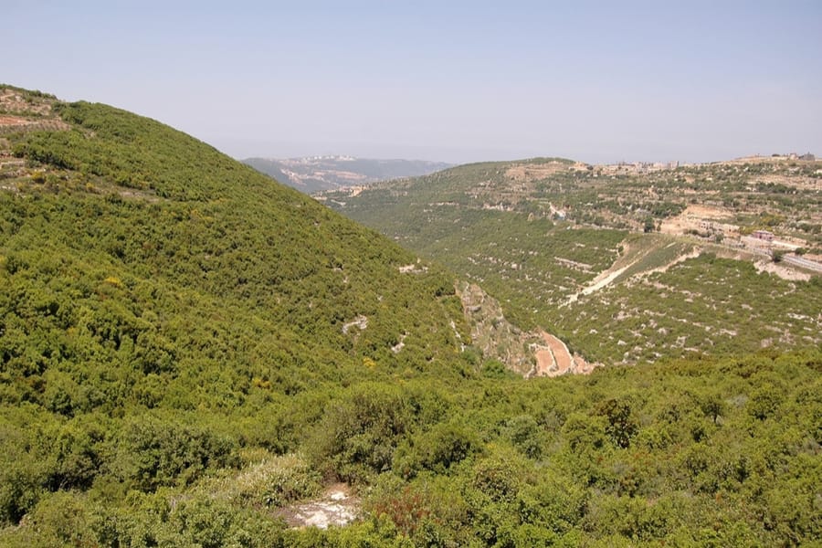 view from Mount Meron