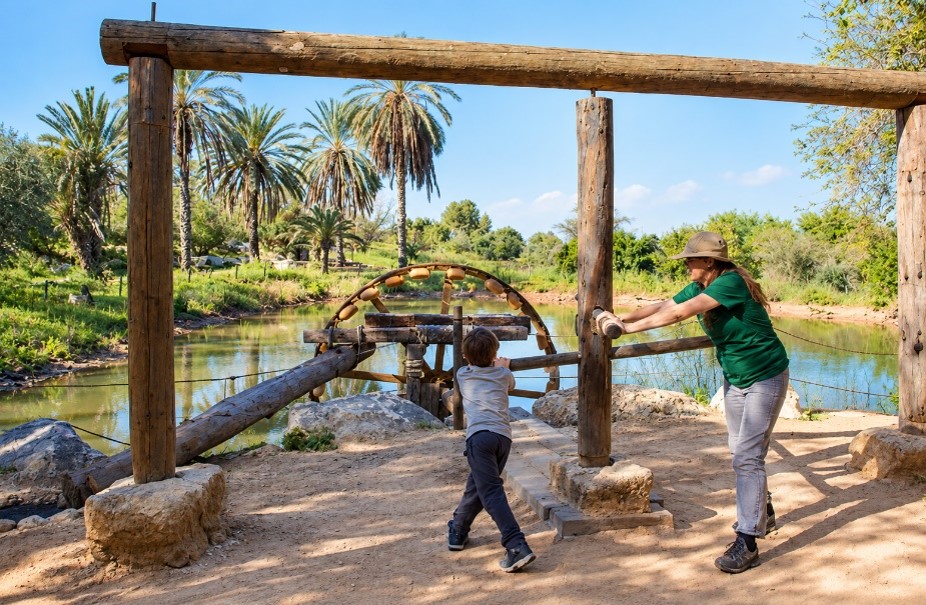 An ancient-style water-lifting wheel at the Neot Kedumim