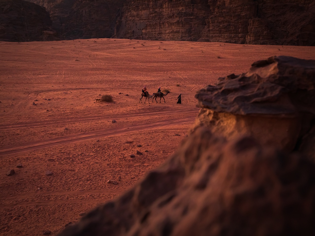 Wadi Rum Camping- Camel Ride at sunrise