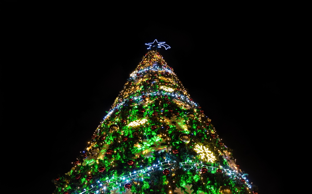 Christmas Tree in Bethlehem