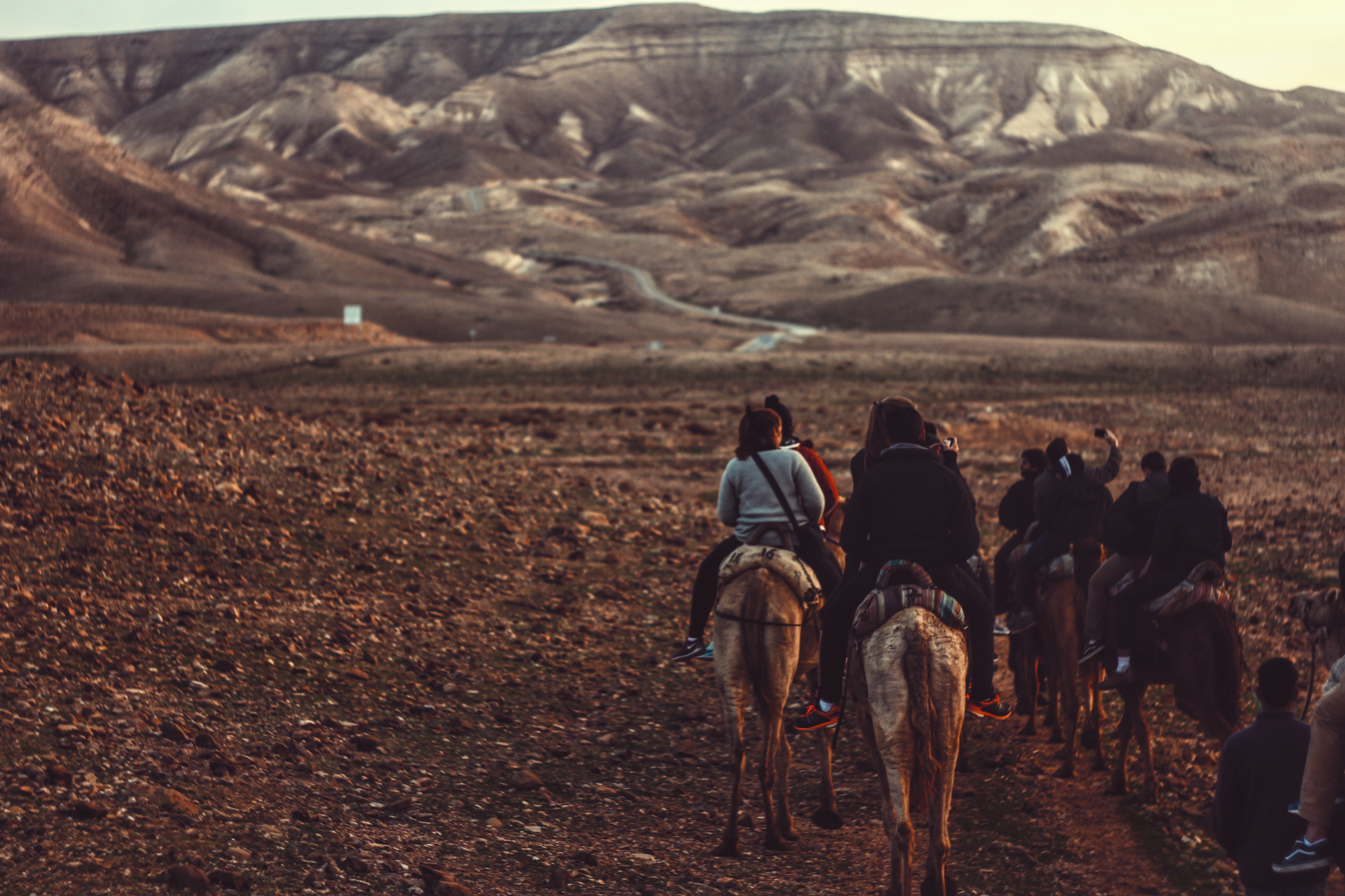 Сamel riding with Bedouins in the Negev Desert