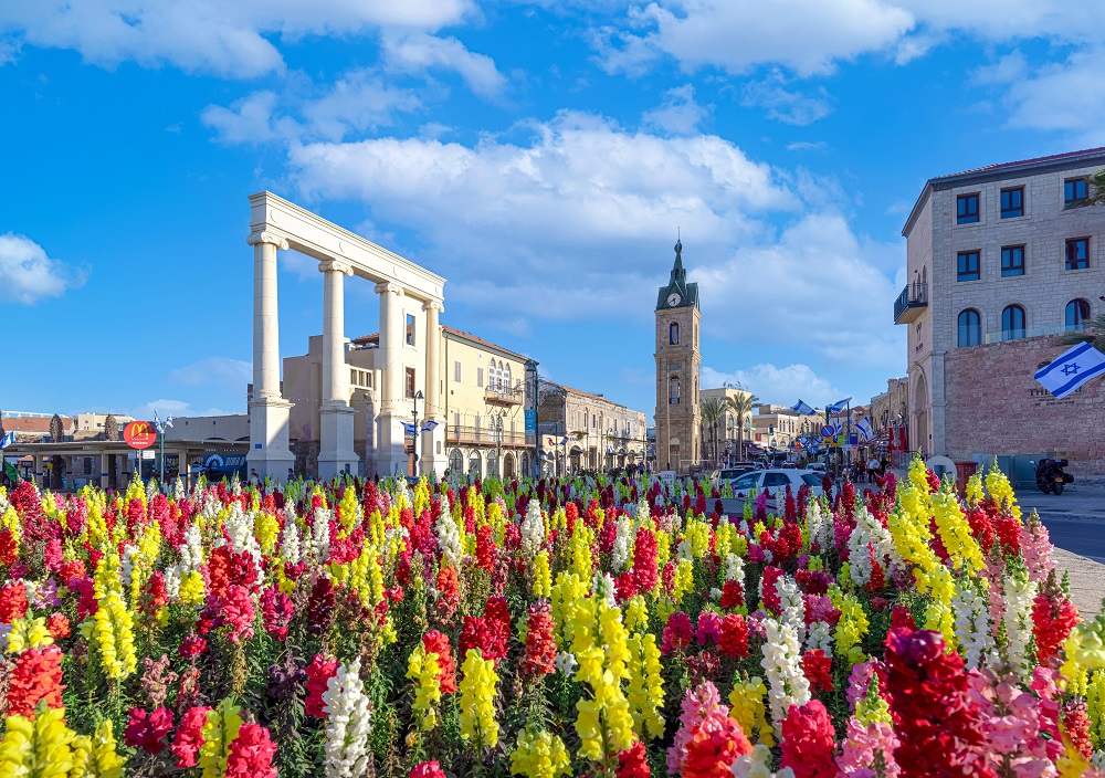 The Clock Square