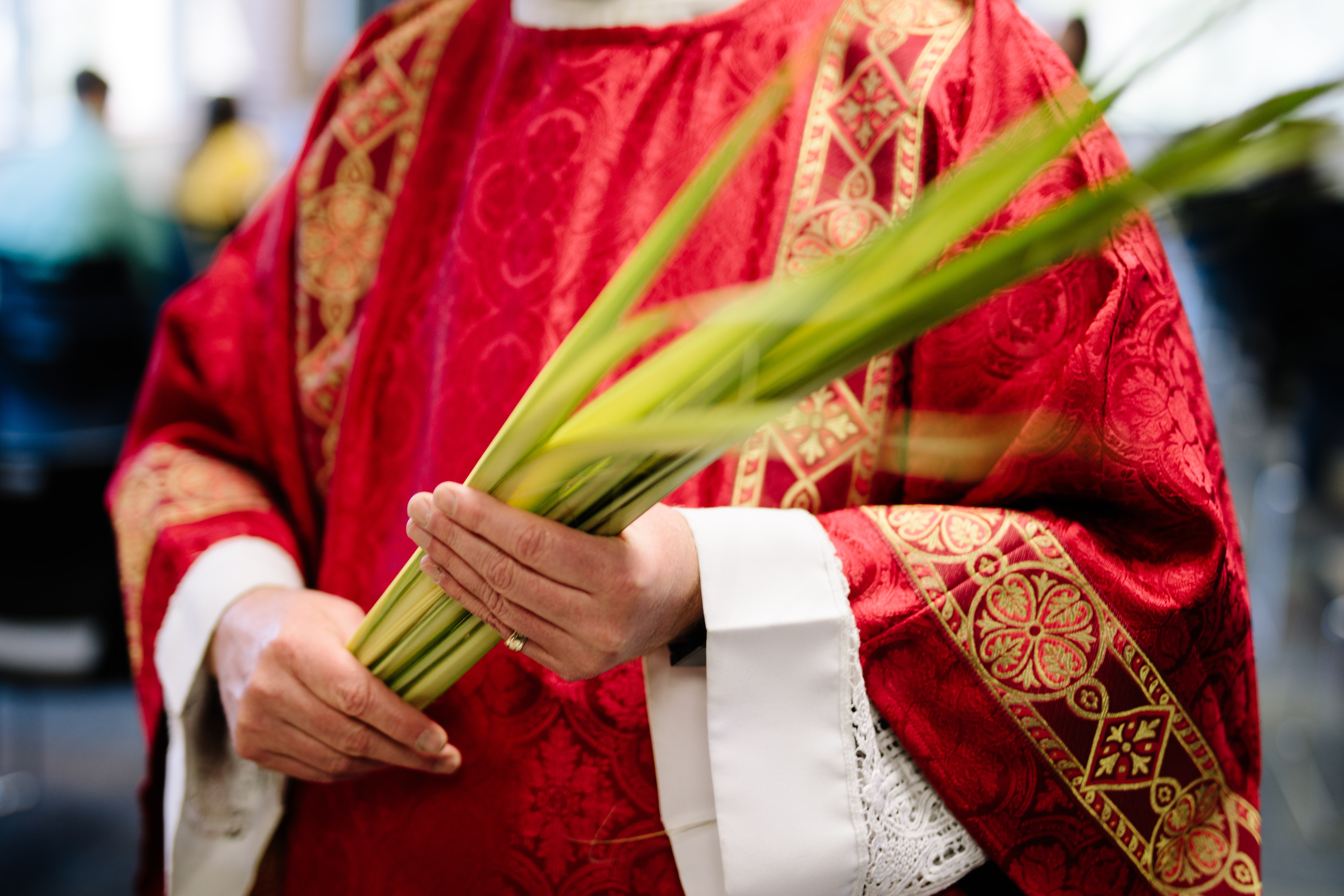 A priest taking part in the Palm Sunday Procession