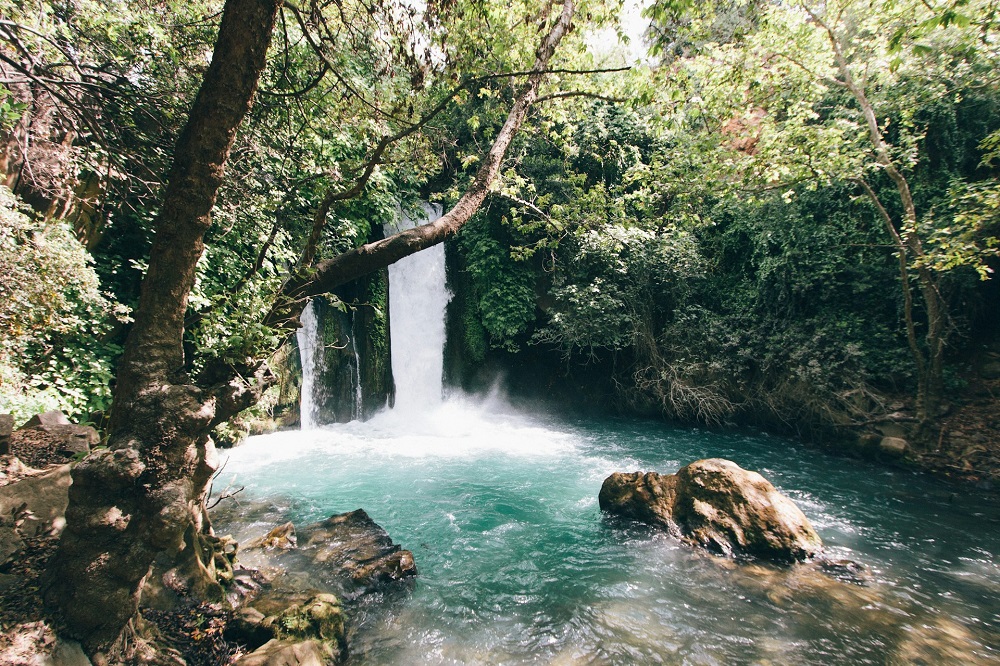 Ein Gedi Nature Reserve in spring When Is the Best Time to Visit Israel?