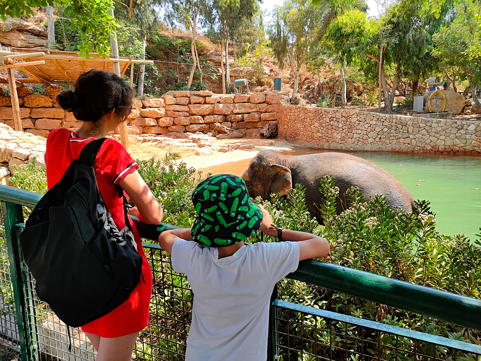 Tourists in Jerusalem Biblical Zoo