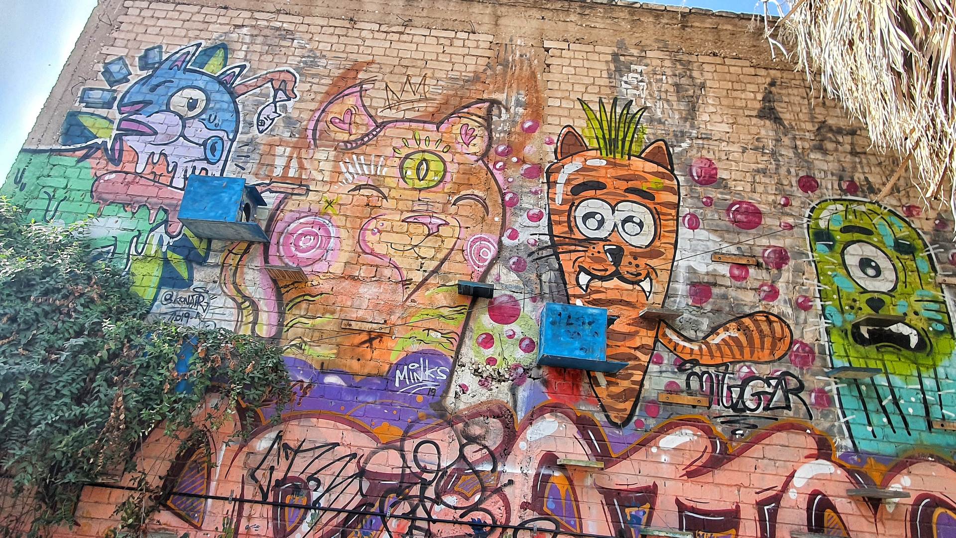 tel aviv street art tour