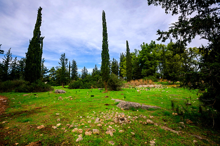 Ben Shemen Forest near Modiin, where the Maccabees Revolt started