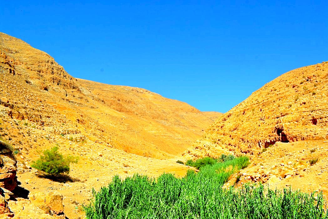 Wadi Qelt, West Bank
