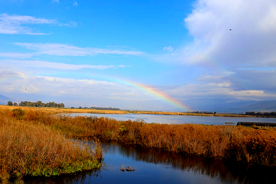Rainbow in the Hula Valley