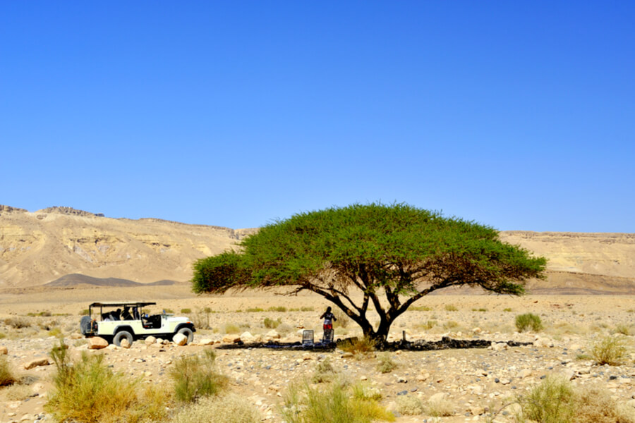 A jeep safari in the Judean desert