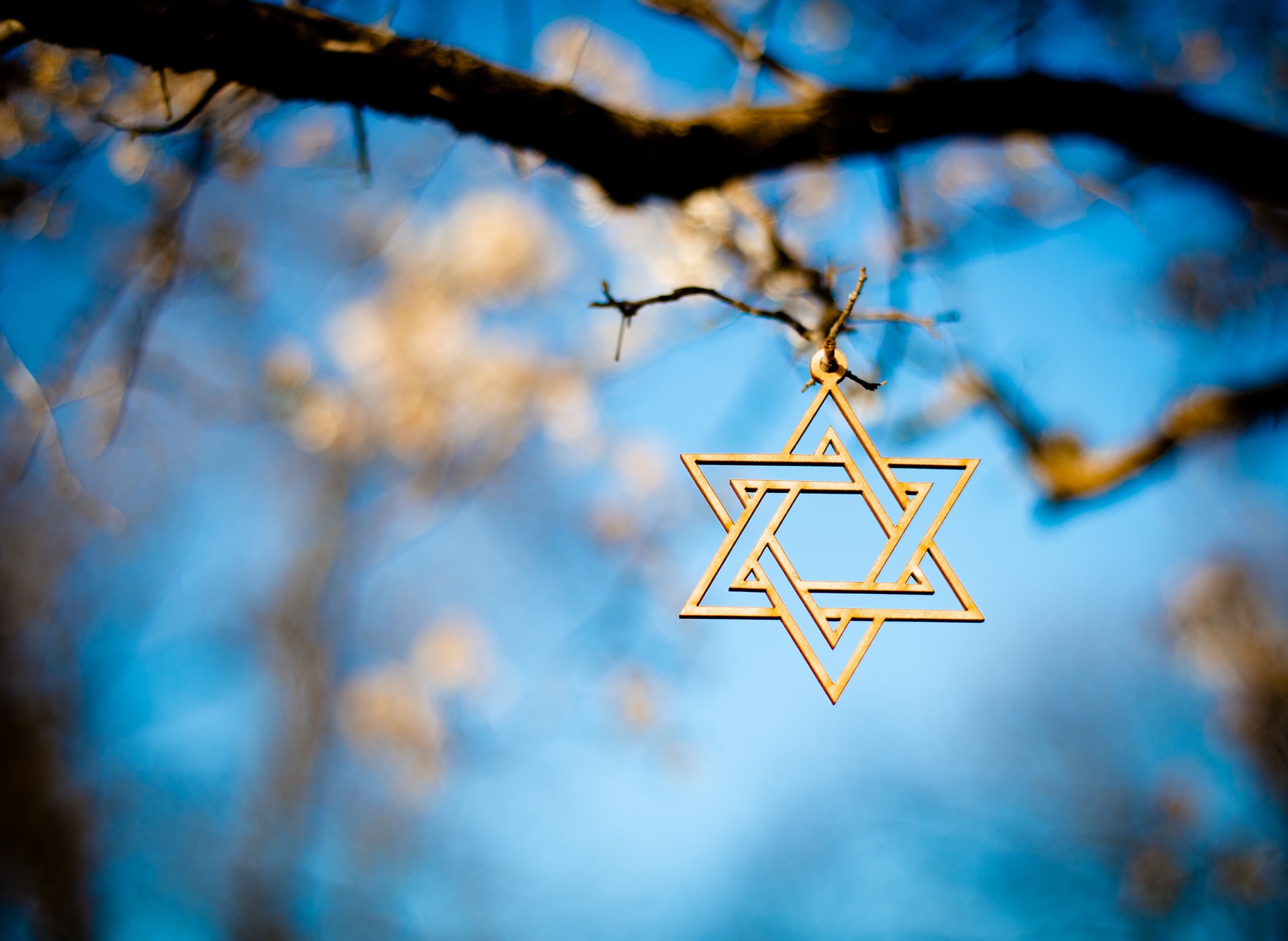 The star of David with Blossoms on a fruit tree in spring
