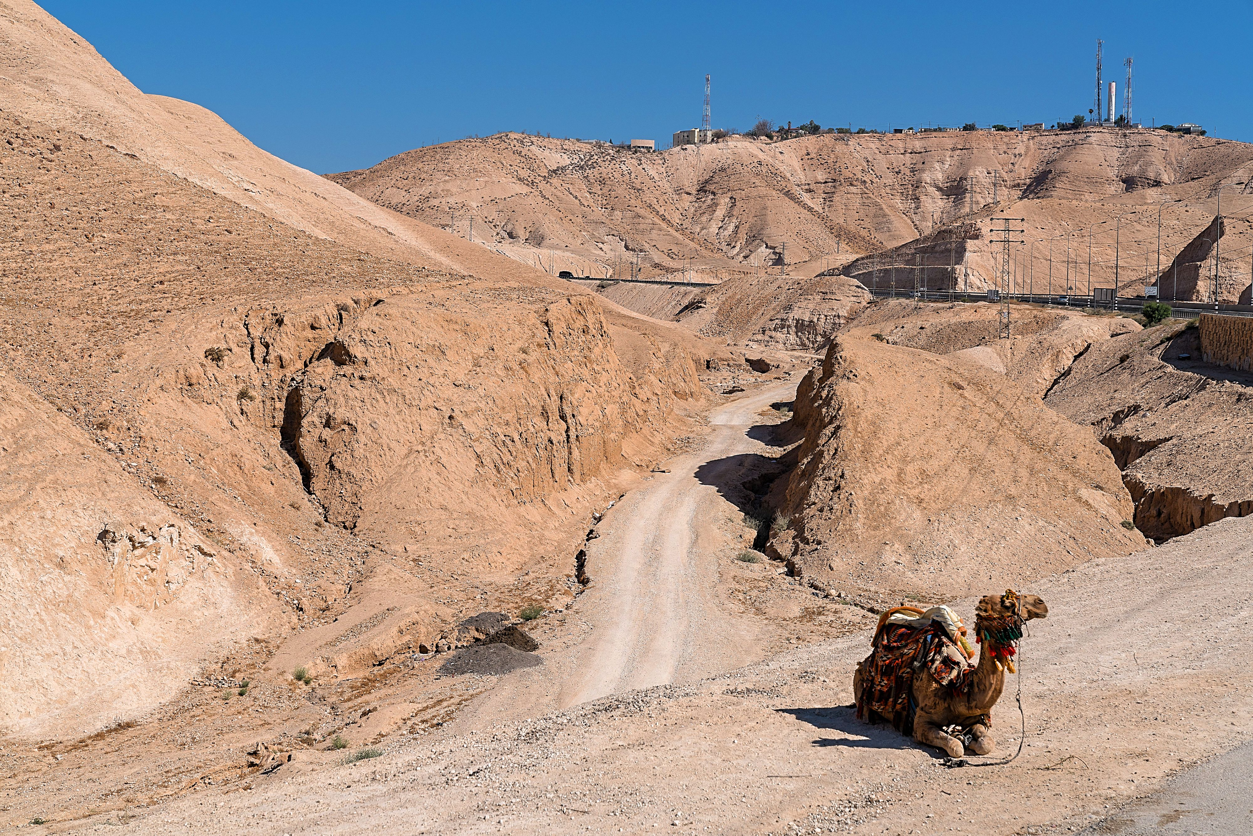 The Judean Desert, Israel