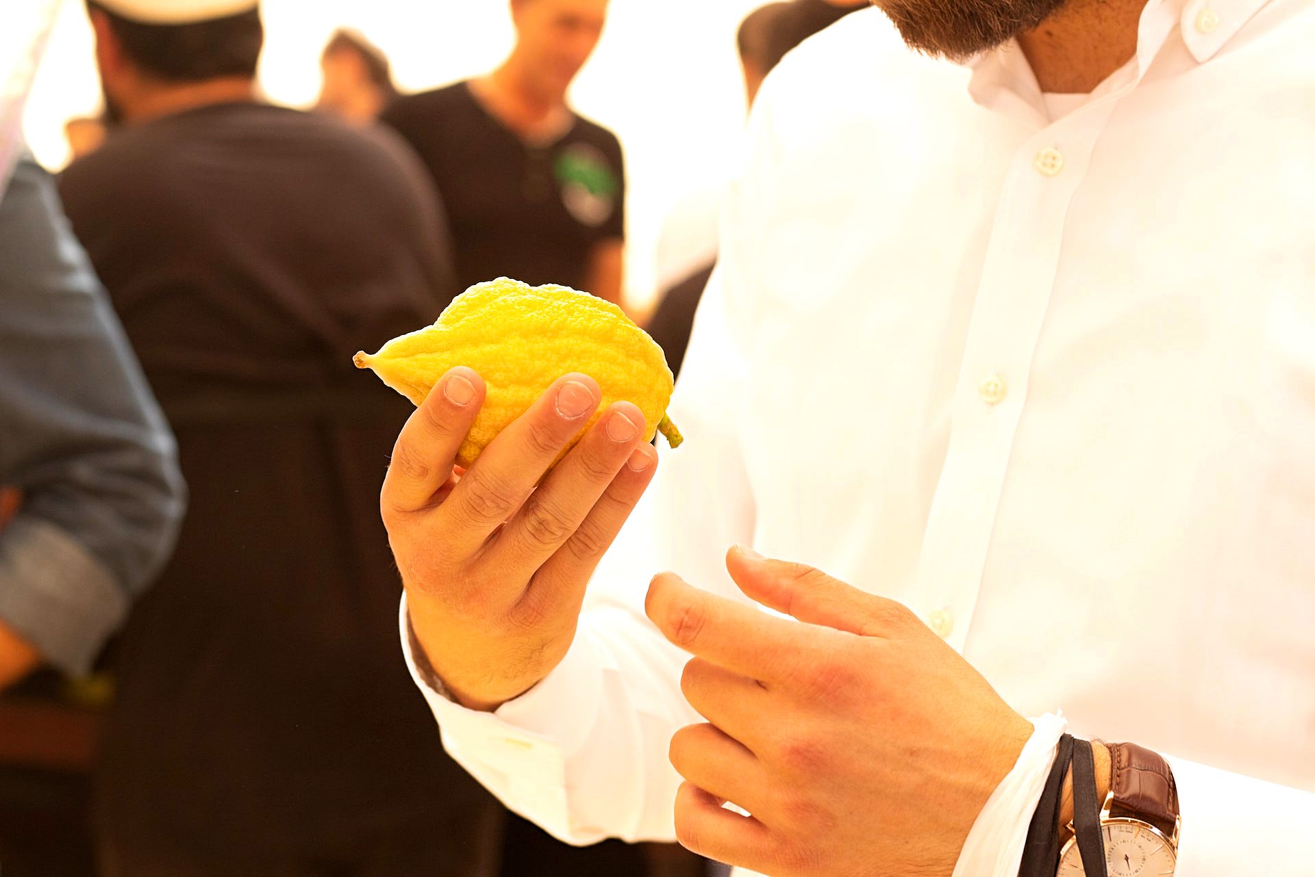 A man chooses an etrog in Sukkot, the four species