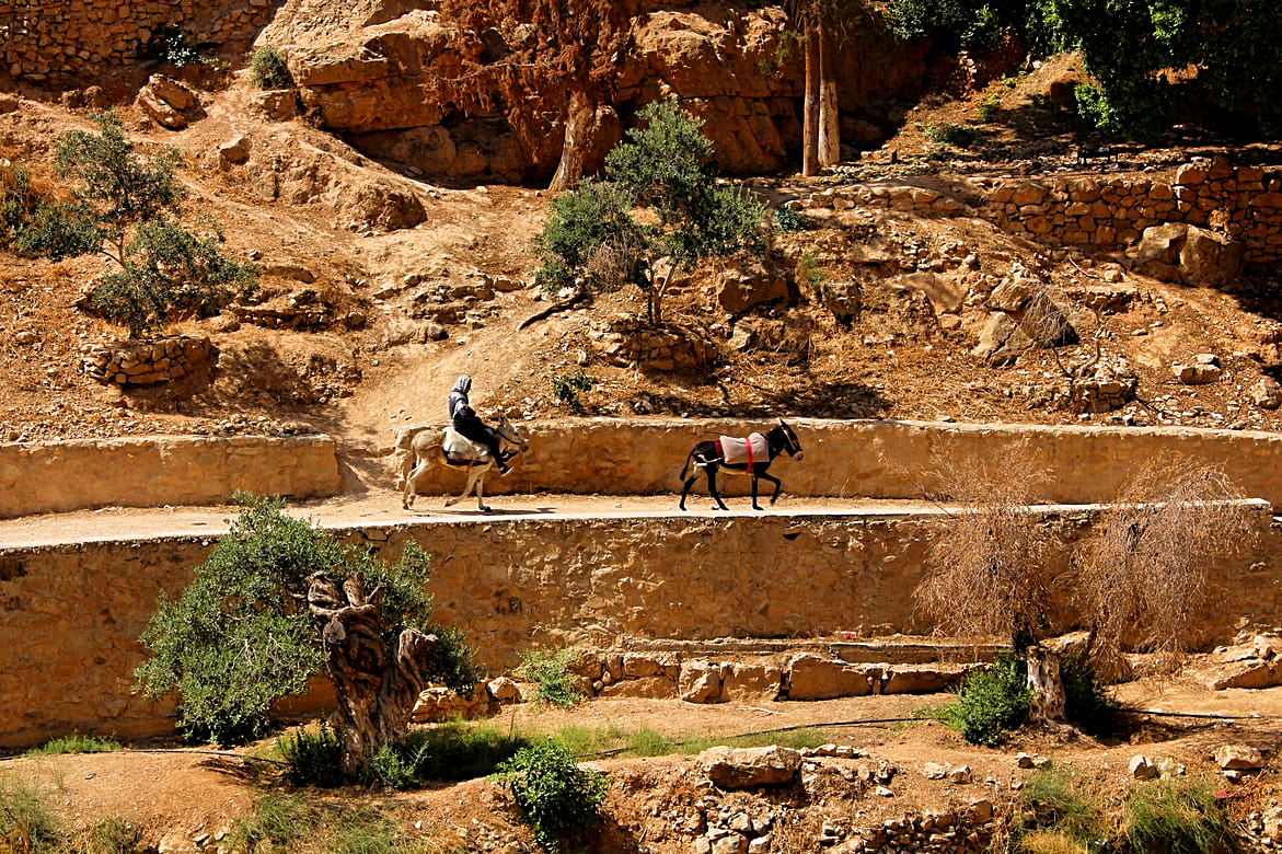 A man riding a donkey on the road to Jerusalem