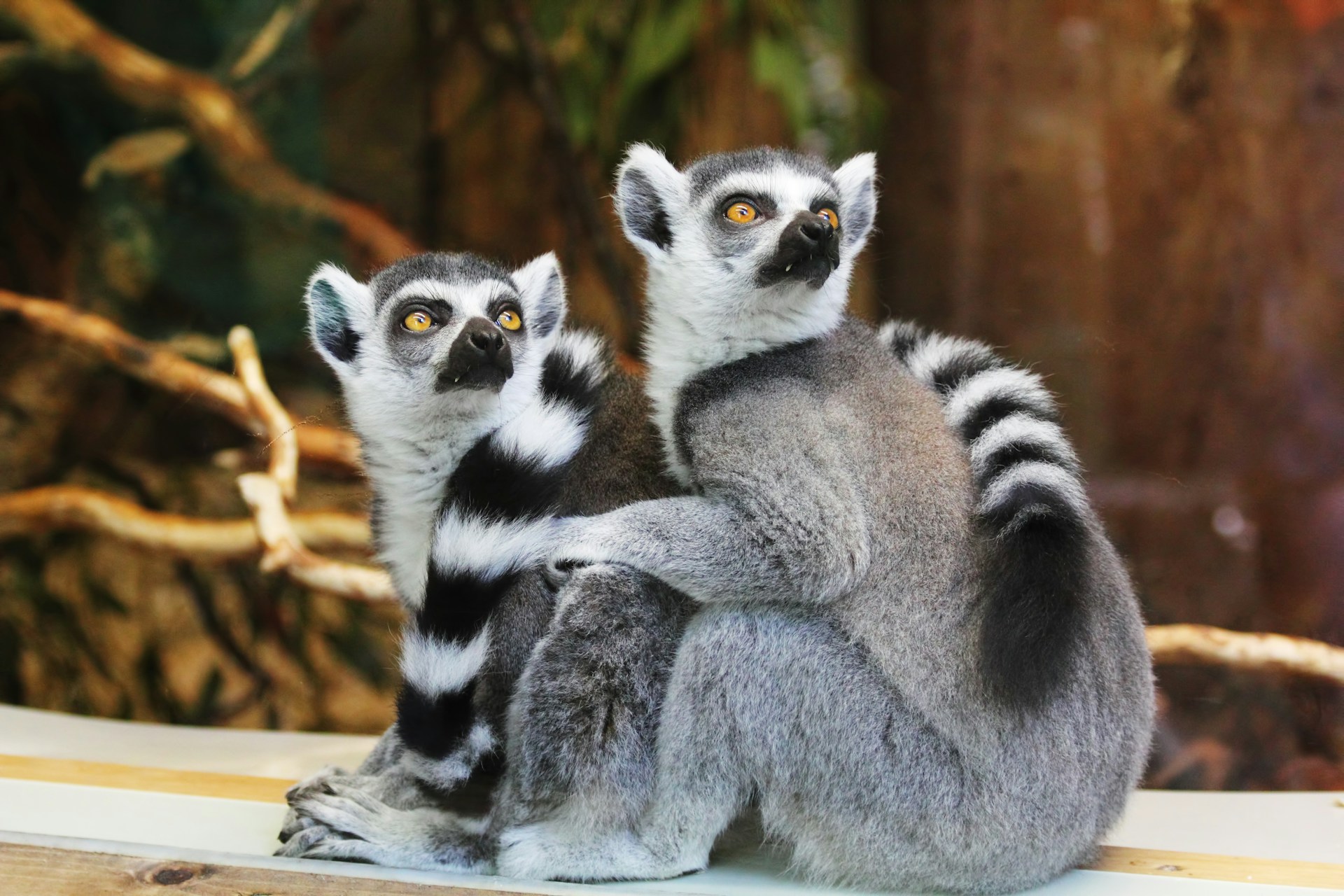 family attractions tel aviv