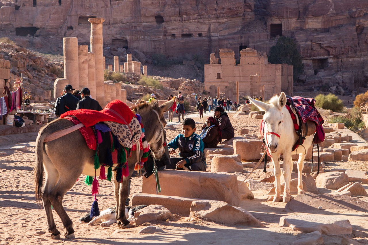 Inside Petra, Jordan- Donkey rides in Petra