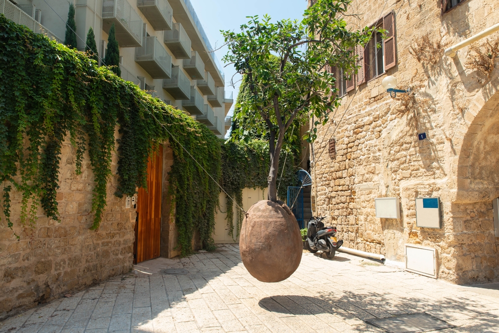 The Suspended Orange Tree in Jaffa