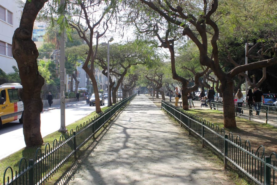 Rothschild boulevard in Tel Aviv, Israel.