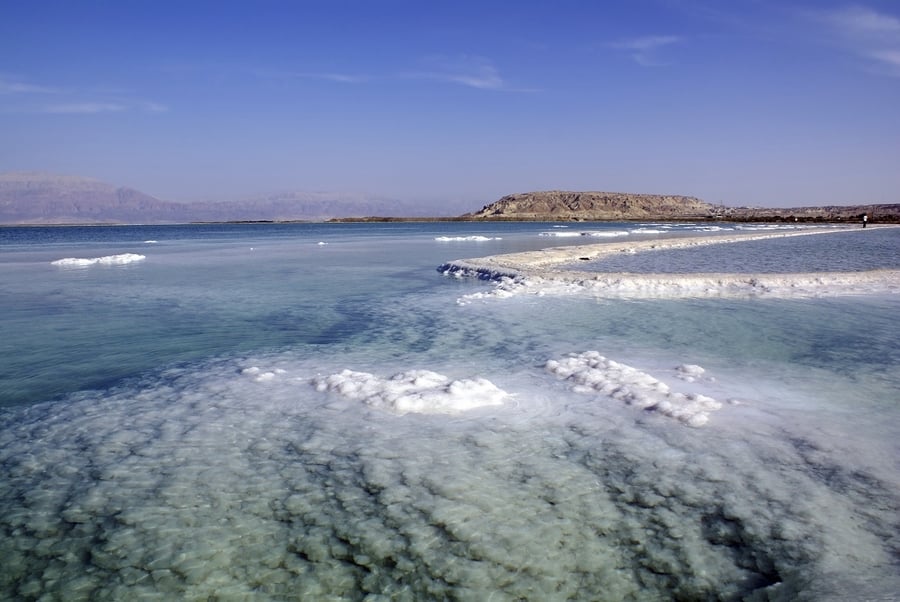 The Dead Sea 