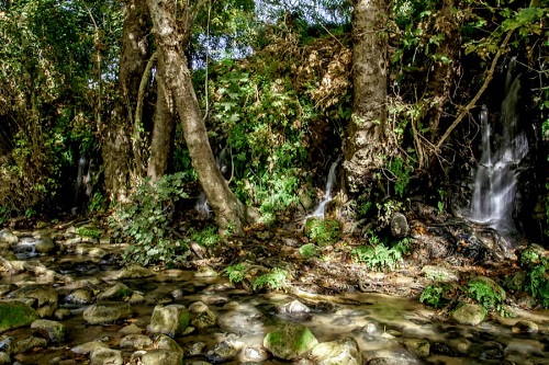 Snir Stream Nature Reserve 