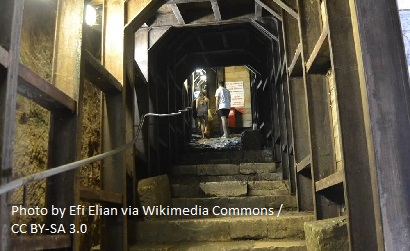The Pilgrimage Road in the City of David