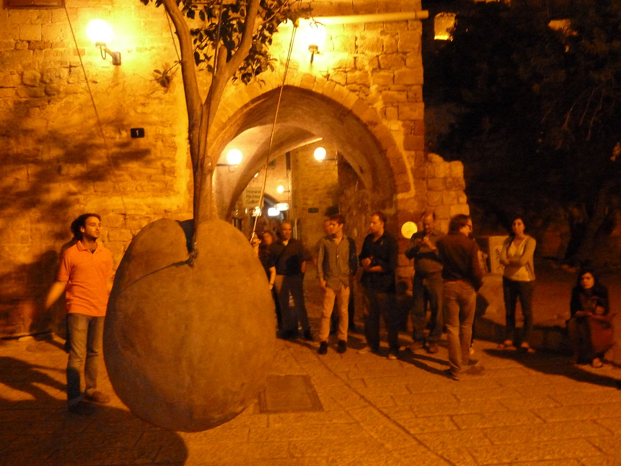 suspended orange tree jaffa