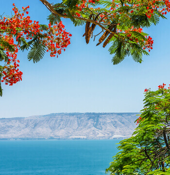 Galilee Tours